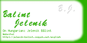 balint jelenik business card